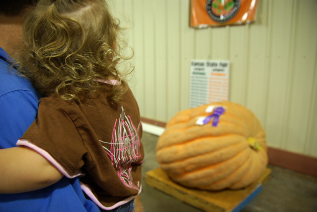 1 state fair huge pumpkin